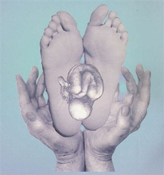 sole-to-soul2